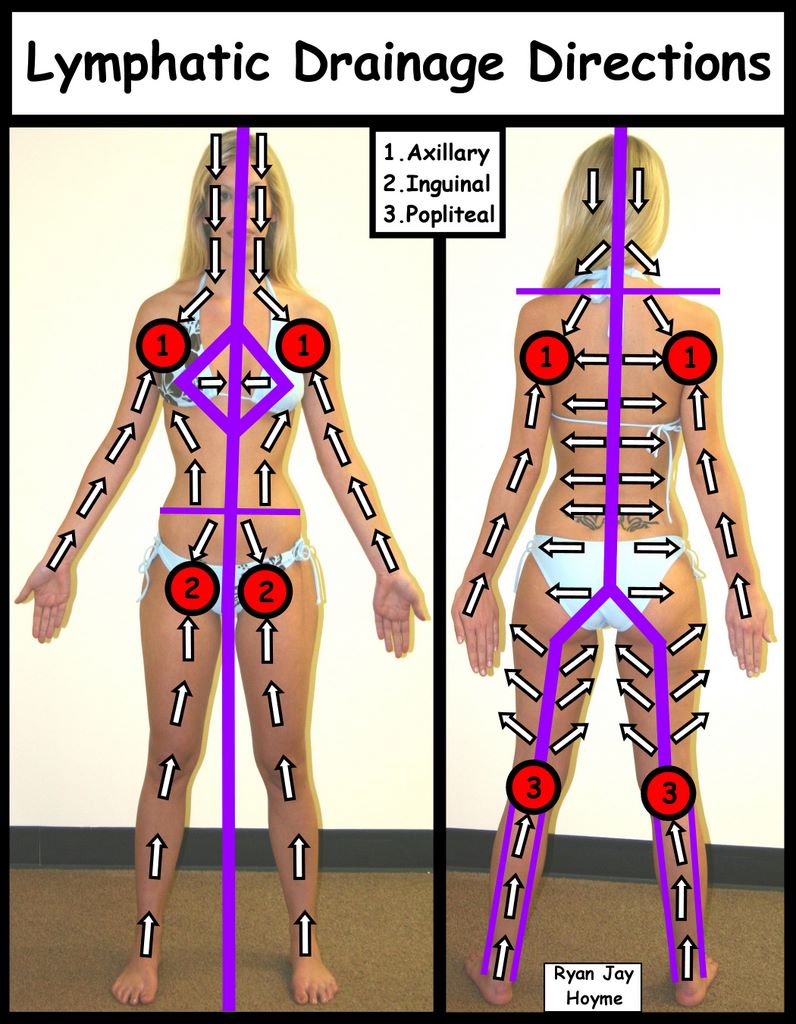 What Is Lymphatic Drainage With Pictures Auto Design Tech