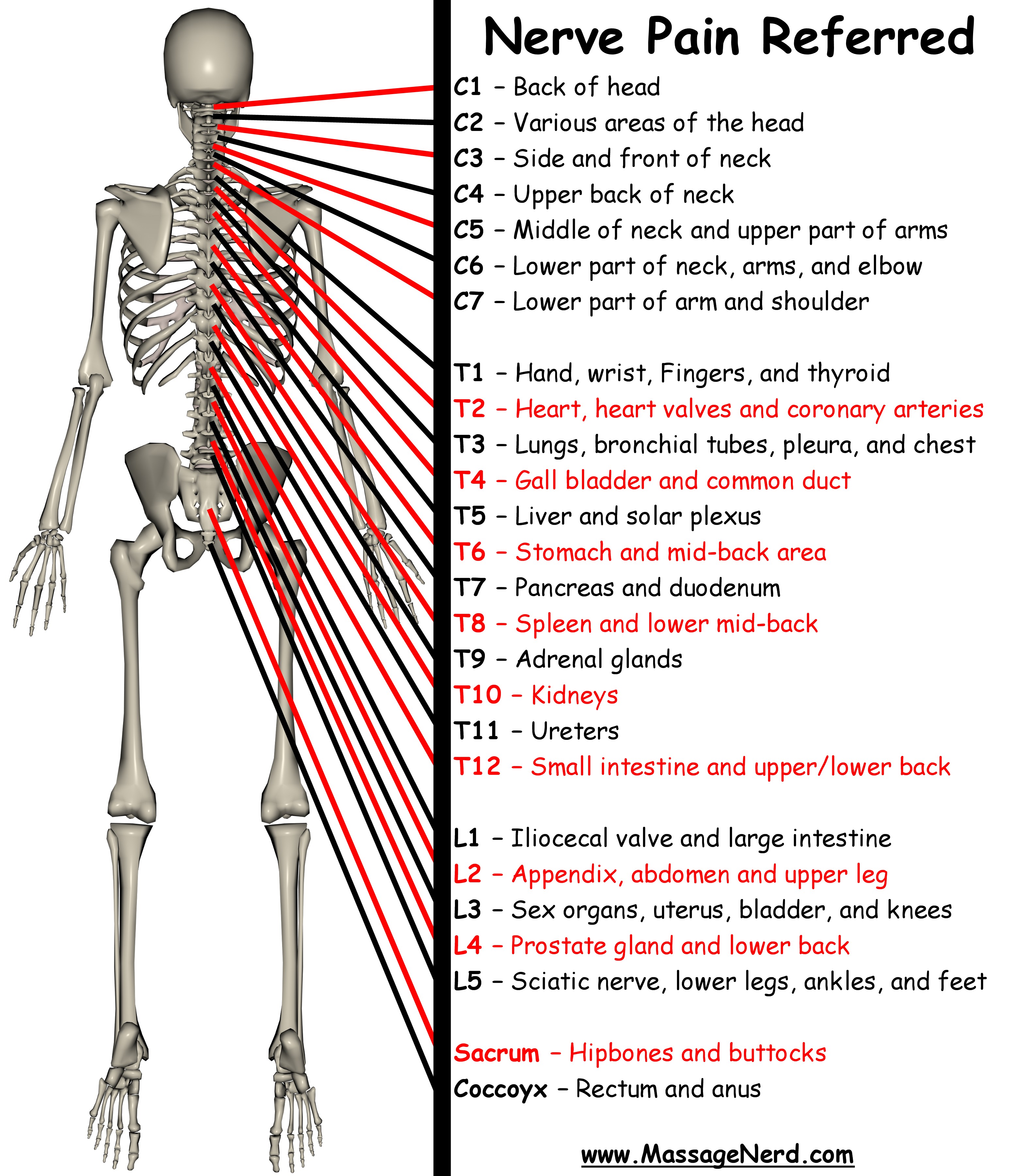 Referred Back Chart