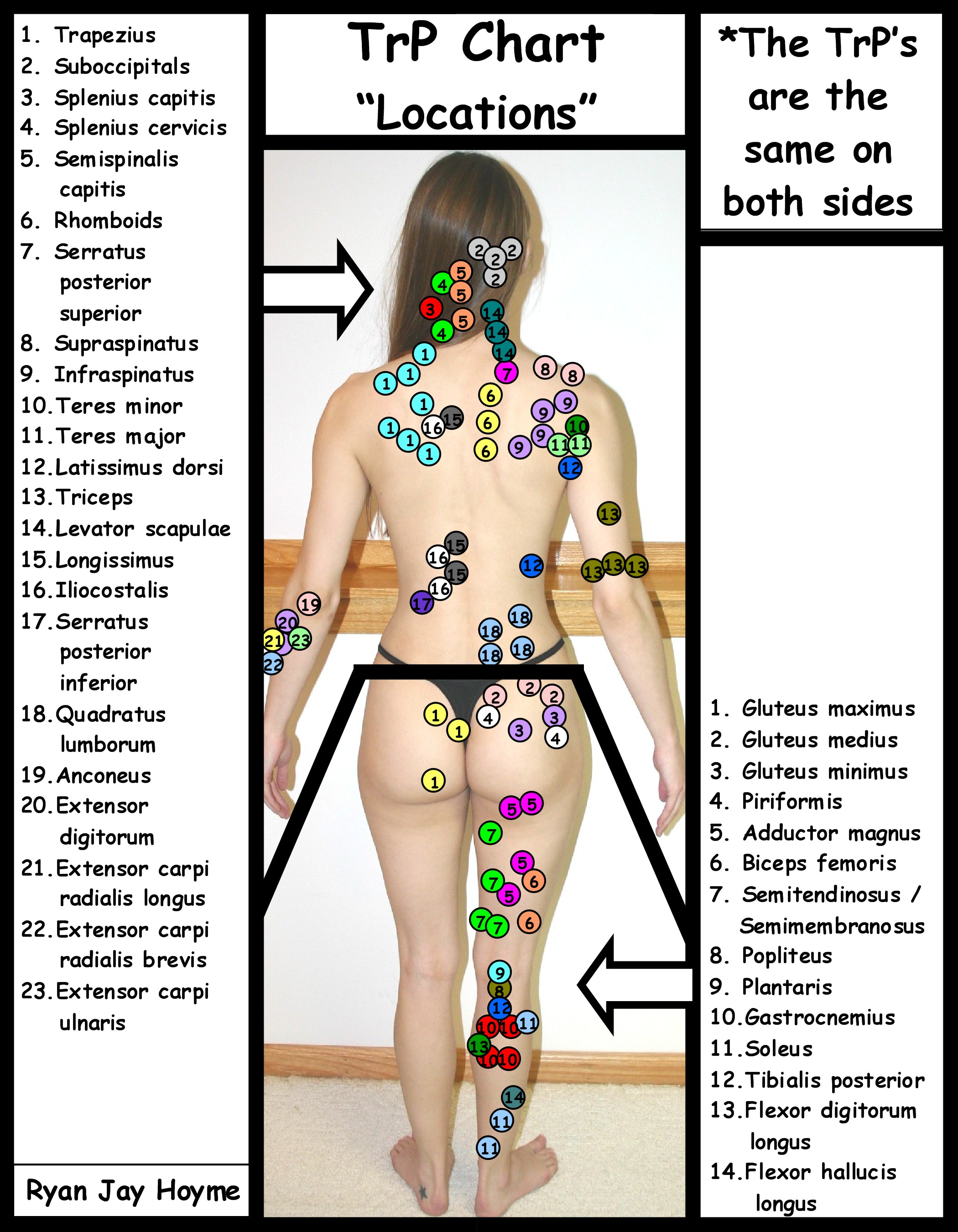 Trigger Point Therapy Chart
